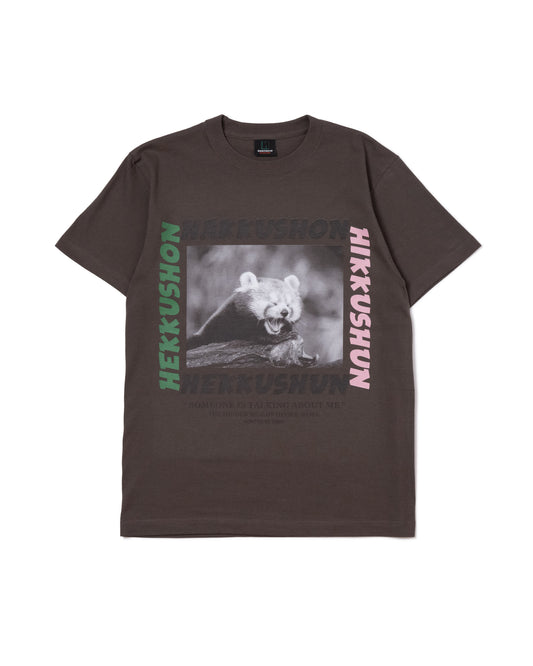 RACCOON PRINT T-SHIRT (BROWN)