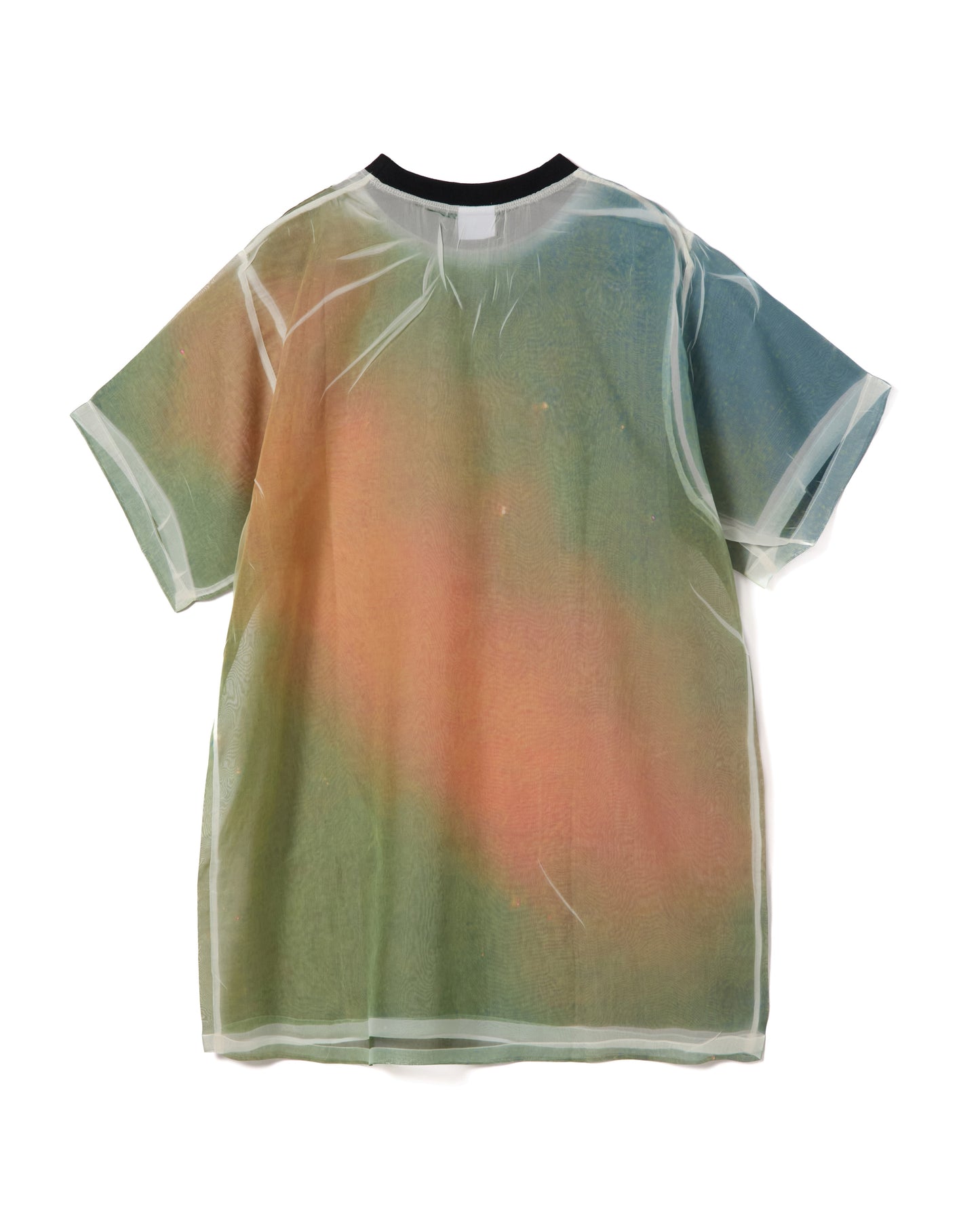 DIRECT PRINT SHEER T-SHIRT (GRADATION)