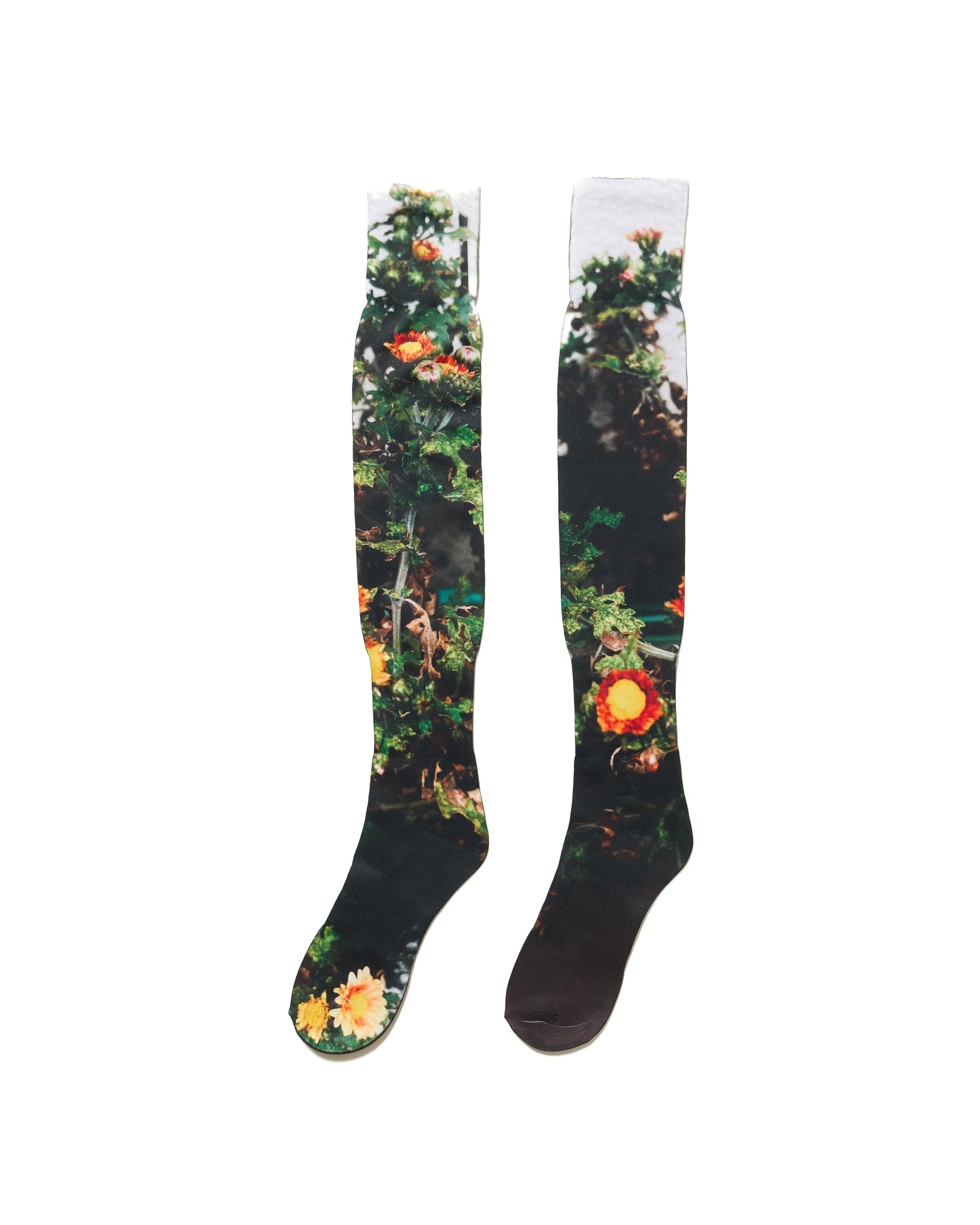 DIRECT PRINT LONG SOX (FLOWER)