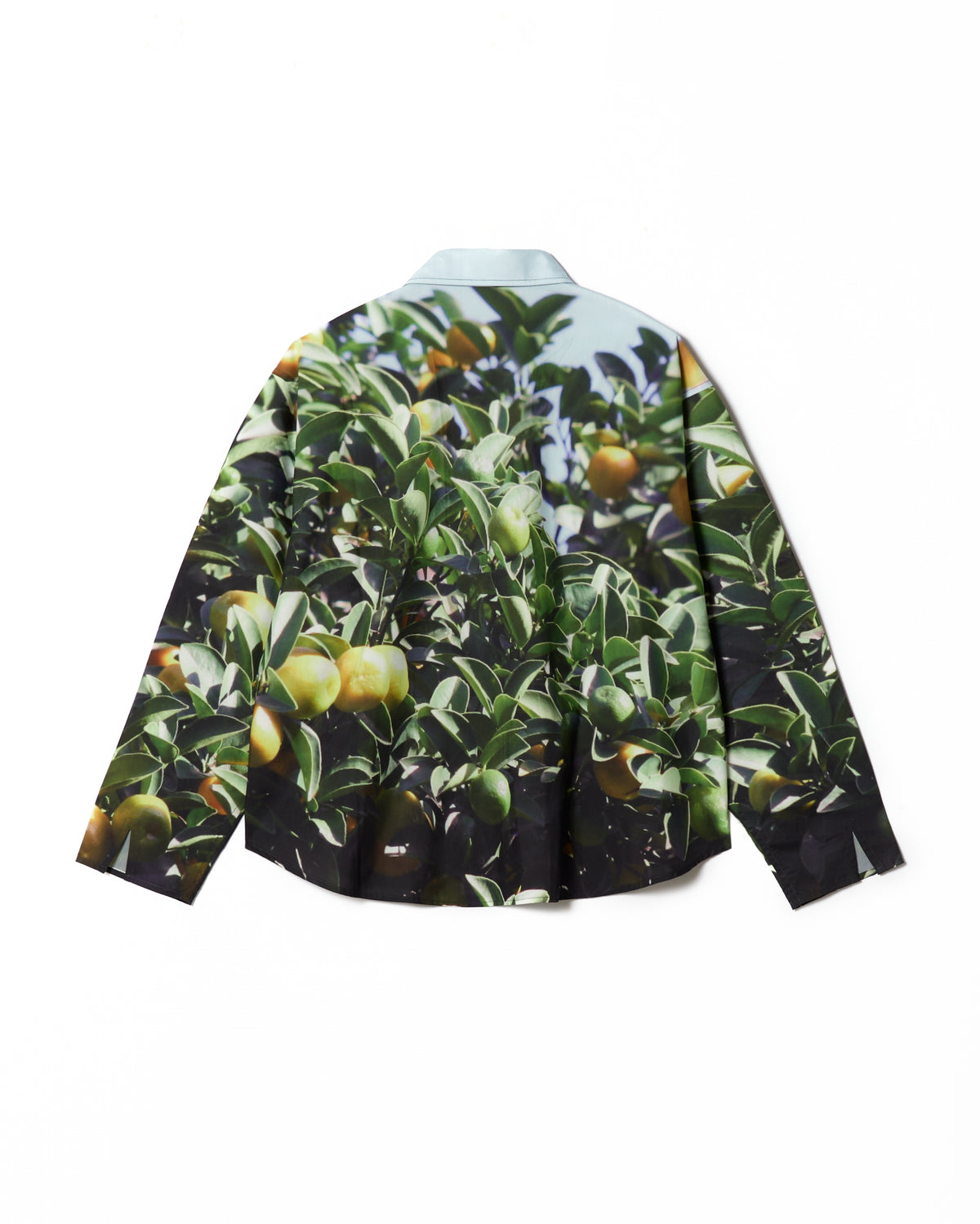 PRINT L/S SHIRT (LEMON)