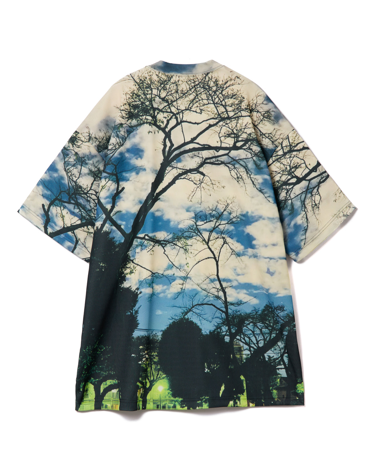 PRINT RIB BIG T-SHIRTS (PARK)