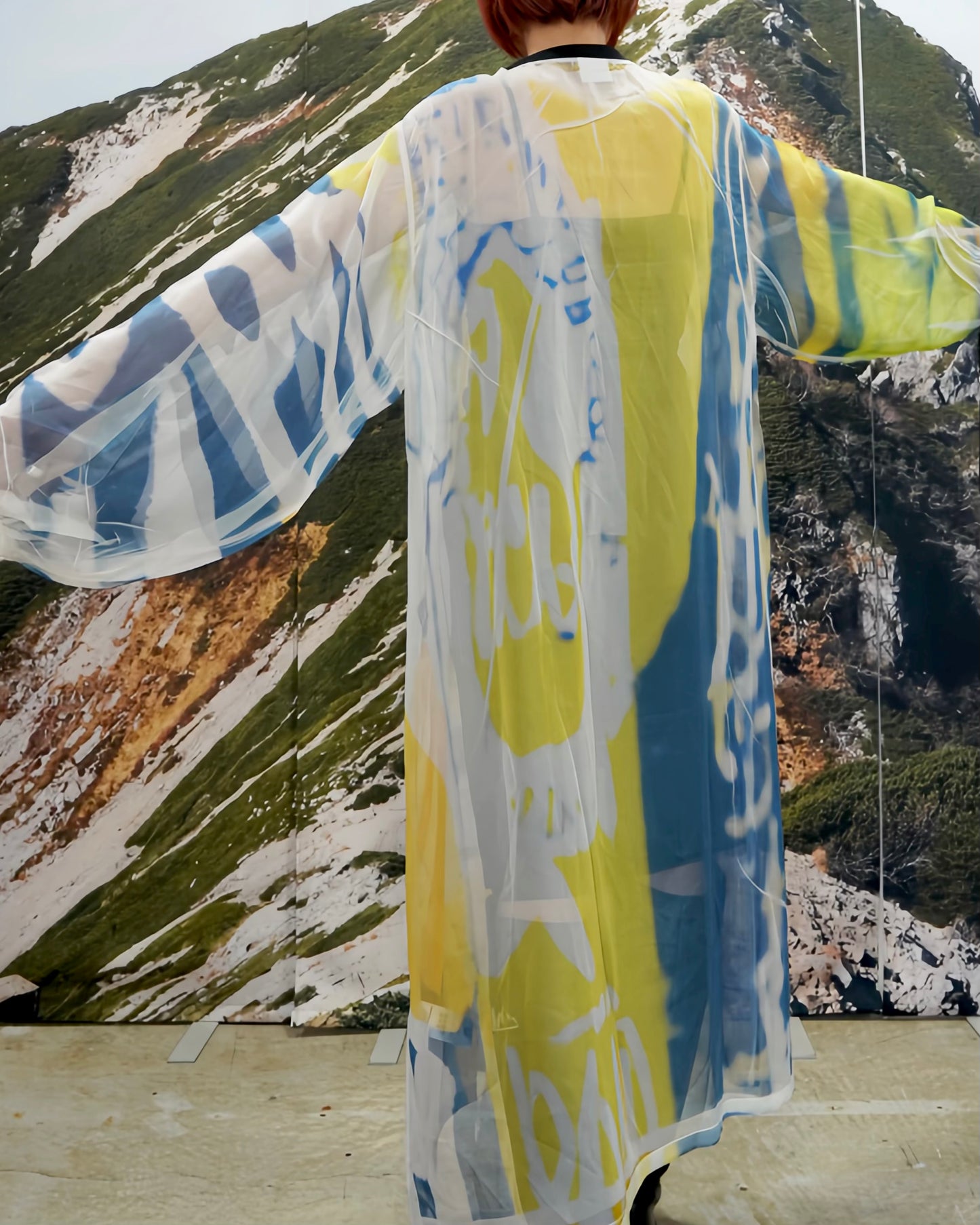DIRECT PRINT SHEER ONE-PIECE (GRAPHIC)