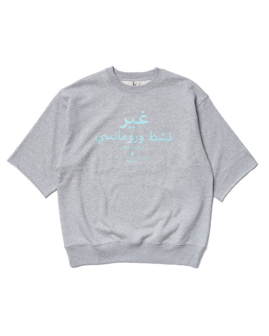 PRINT HALF SLEEVE SWEAT (GRAY)