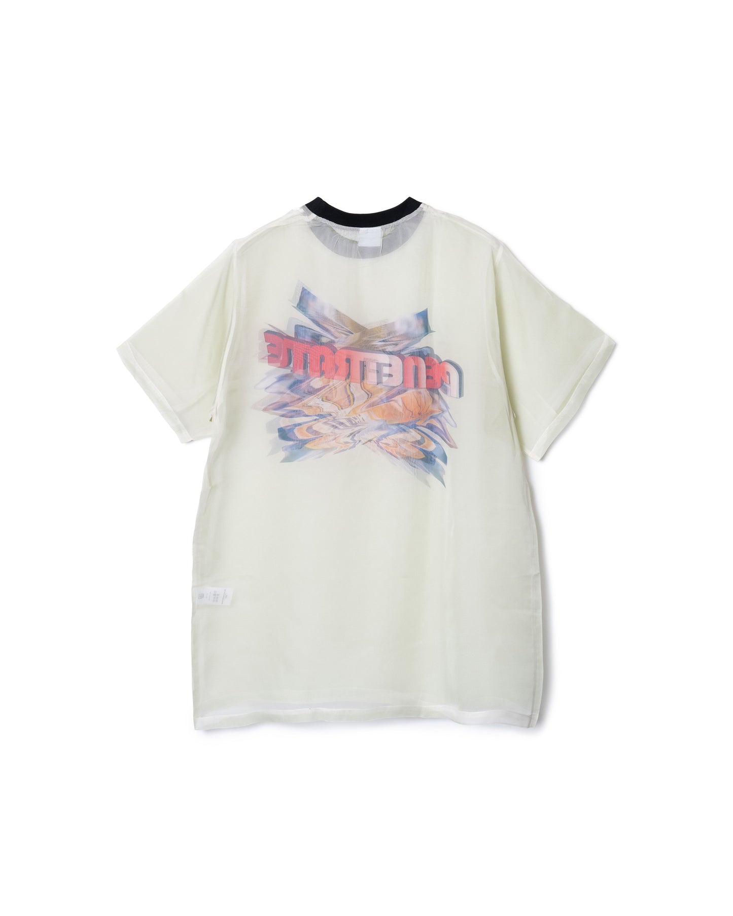 PRE ORDER / DIRECT PRINT SHEER T-SHIRT (PENETRATE)