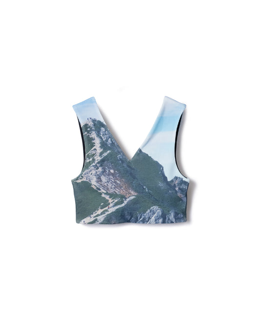 PRE ORDER / PRINT RIB BUSTIER (MOUNTAIN)