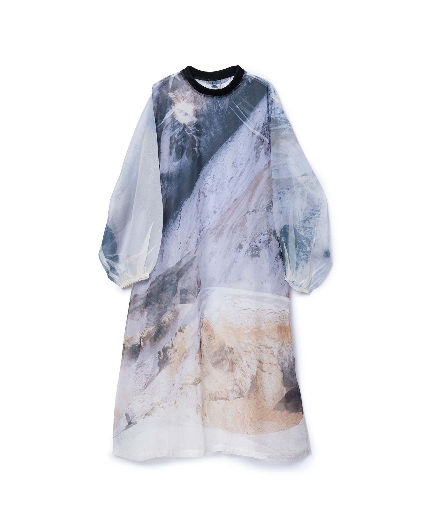 DIRECT PRINT SHEER ONE-PIECE (MOUNTAIN)