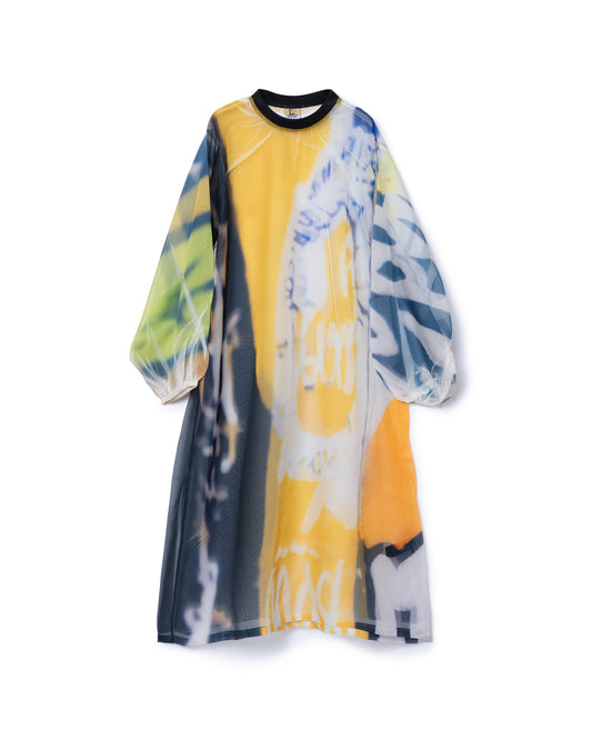 DIRECT PRINT SHEER ONE-PIECE (GRAPHIC)
